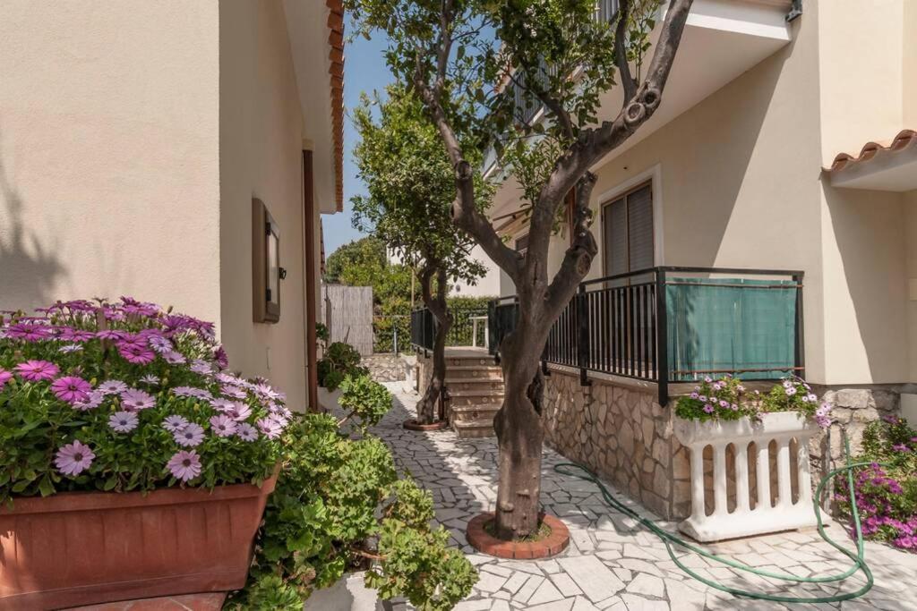 - Private Street Sperlonga